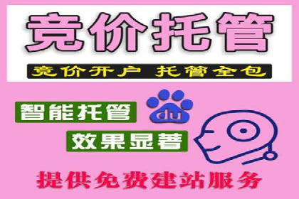 百度SEM代运营案例分享：打造品牌知名度